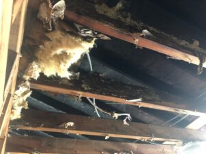 CT fire damage repair